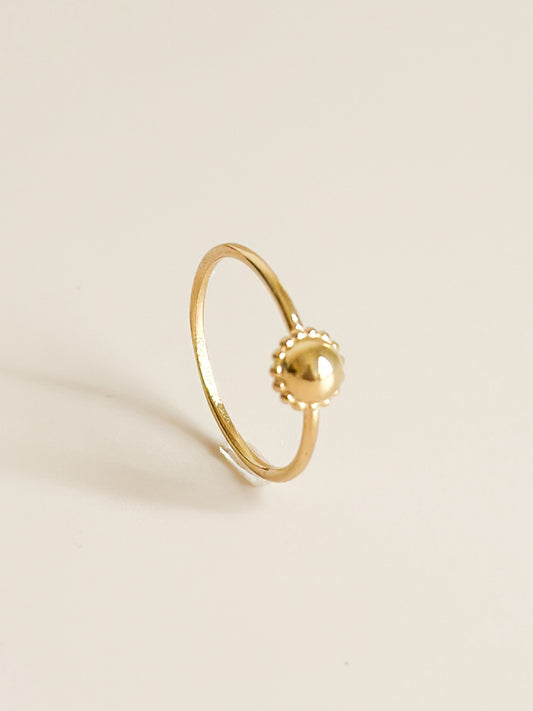 ANILLO NED